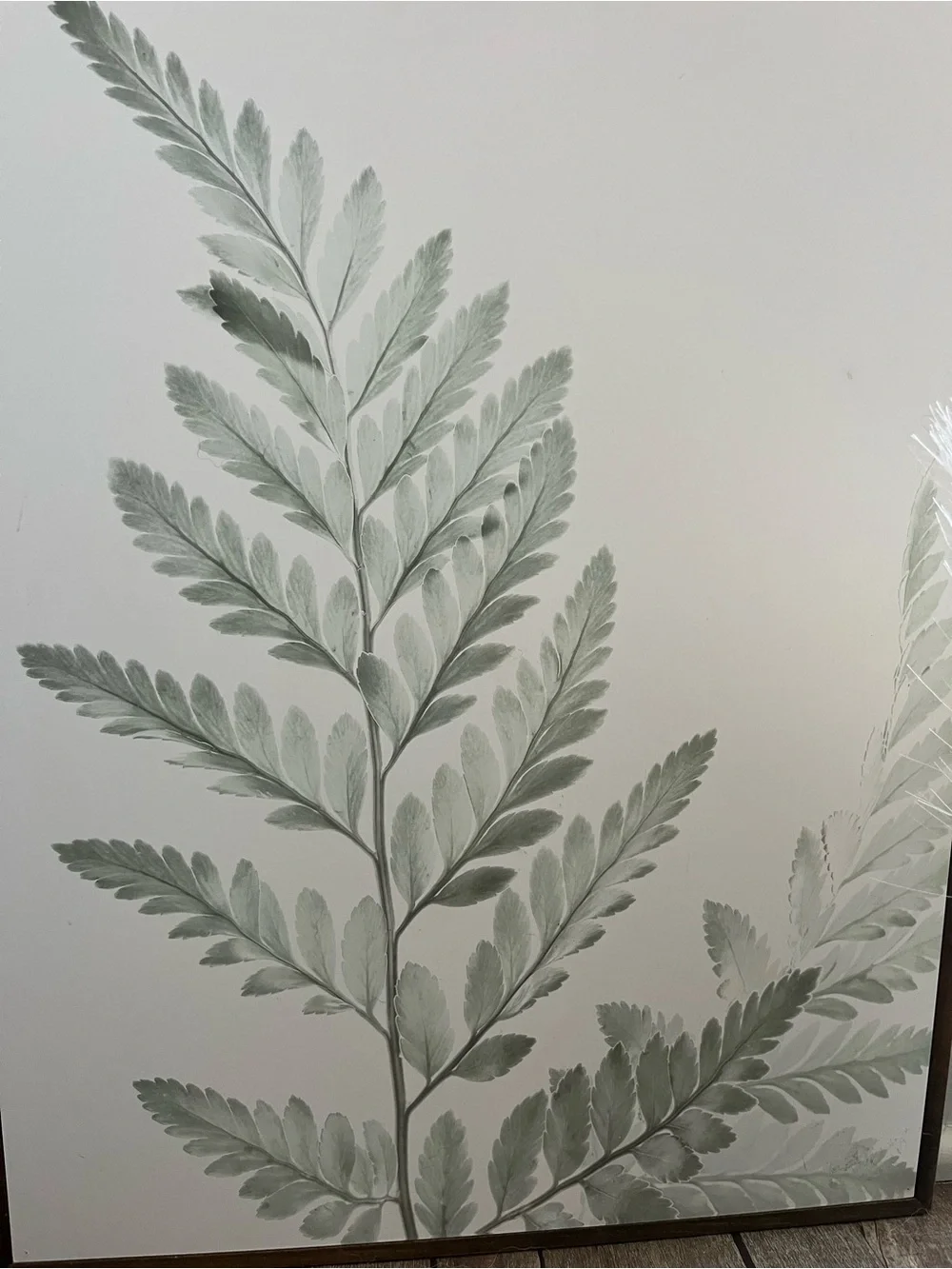Green Fern Wall Art Print with Wood Frame